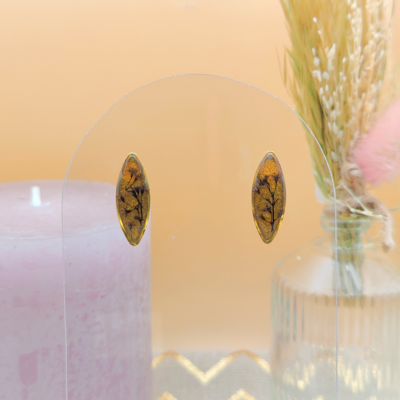 Acier Inoxydable Doré