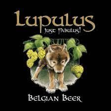 lupulus triple sous bock.jpg