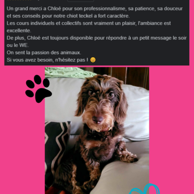 Les avis