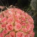 Photo de profil de CHLOÉ FLOR  